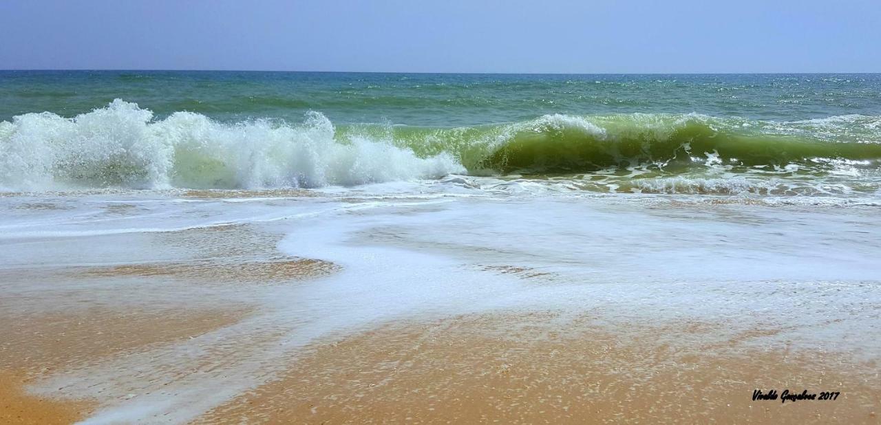 Shinning Waves Apartment Armacao de Pera Ngoại thất bức ảnh